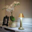 Metal Desk Lamp