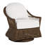 Soho Swivel Glider Chair with Cushions-1468828941-1373501687-1373474612
