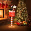 4.8 FT Christmas Lighted Penguin on Mailbox with 100 LED White Lights,Ground Stakes