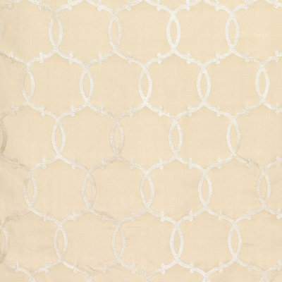 Tracery Silk Fabric