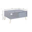 Alafia Coffee Table with Storage