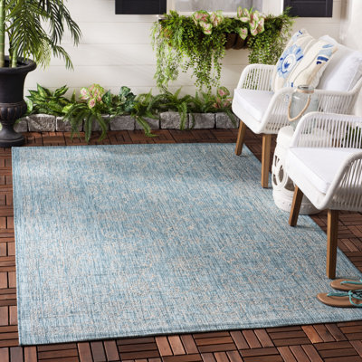 Amedee Performance Solid Color Indoor/Outdoor Area Rug