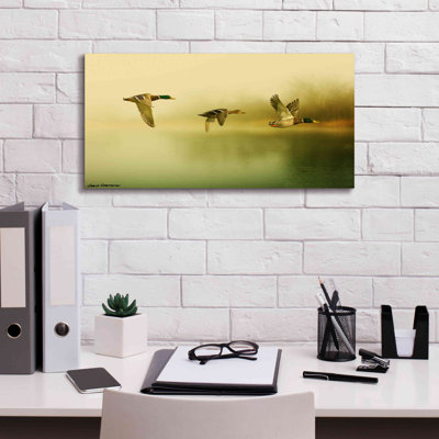 «Marthie Ducks Flying On Canvas» par Carlos Casamayor, reproduction