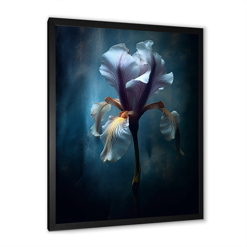 Reproduction d'art sur toile iris au clair de lune, H 32 po x l 16 po x P 1 po, Cadre photo noir
