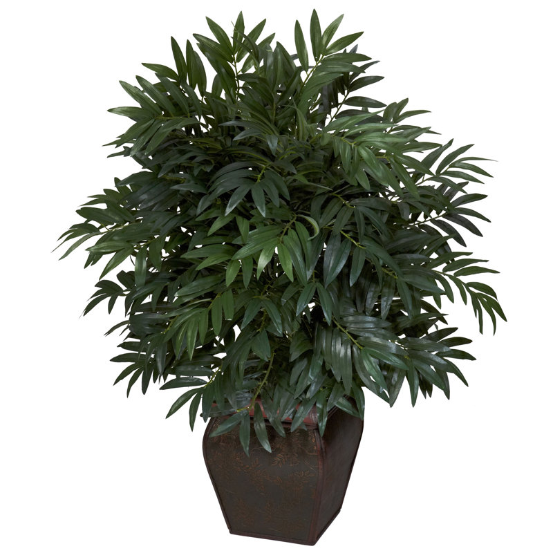 Plante de sol en bambou double dans un vase décoratif