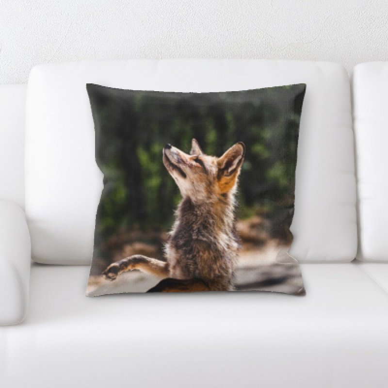 Coussin de fox