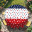 Nappe Drapeau 152x152cm