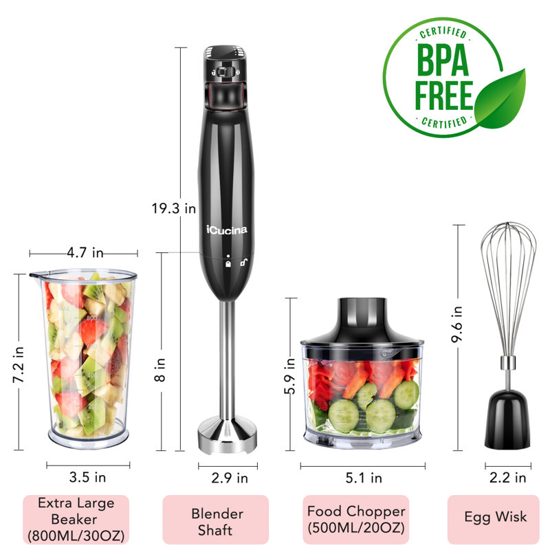 ICucina 2 Speed Hand Immersion Blender
