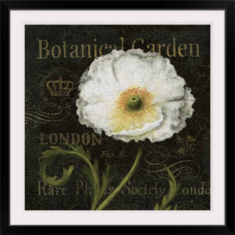 «Muraphami Botanical Garden II» par Daphne Brissonnet, impression, Cadre noir, H 20" x l 20" x P 1"