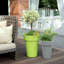 Calabro Pot Planter-1351885961-1351885960