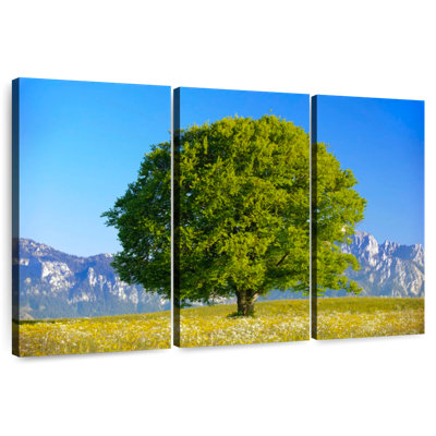 Harnek Spring Beech Tree