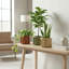 Pot rond Strata SM - brun foncé-1946757456