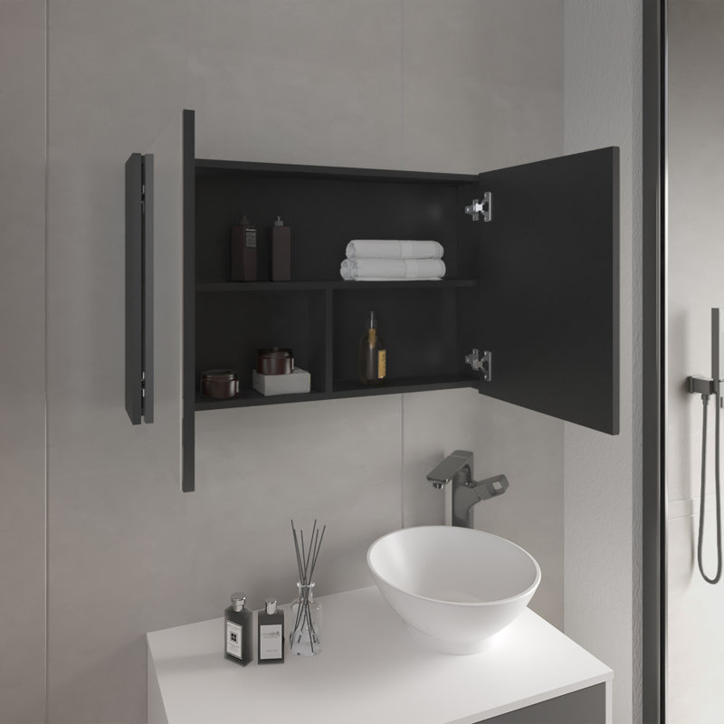 Armoire noire à double porte pour l'organisation de la salle de bain et de la cuisine - H 19,7 po x l 31,5 po, trois tablettes avec miroir noir, utilisation de l'espace