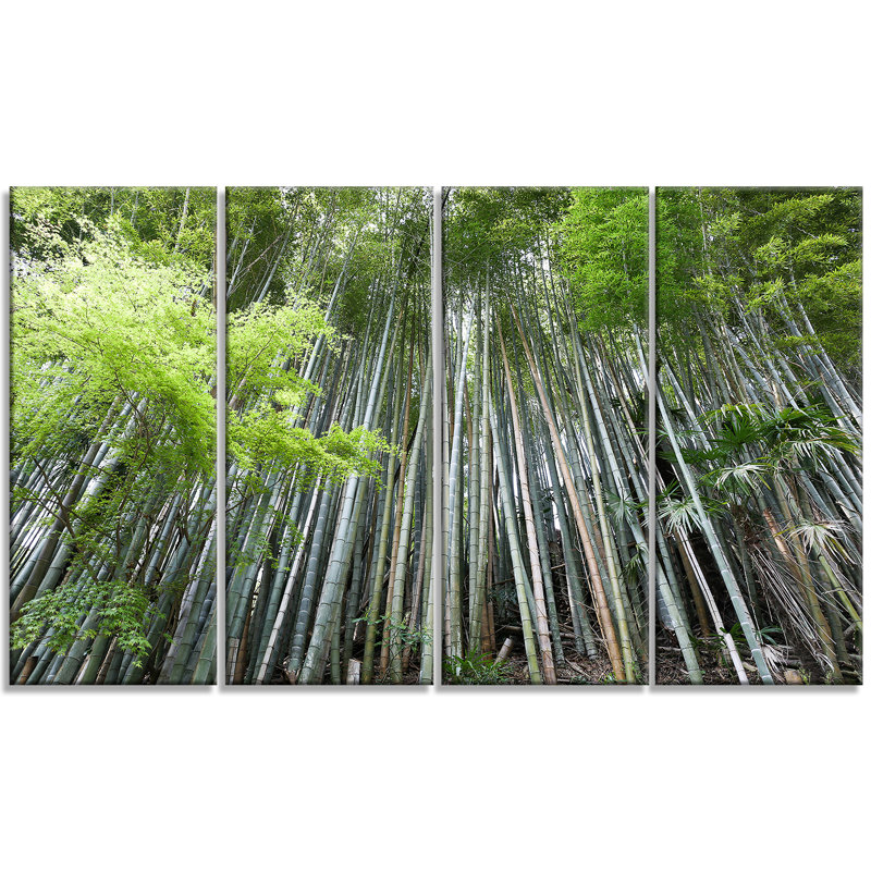 Green Bamboo Forest Landscape Canvas Print, 48" x 28"