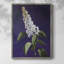 Reproduction encadrée FLORAL Series CCXVII - bois massif-96104243