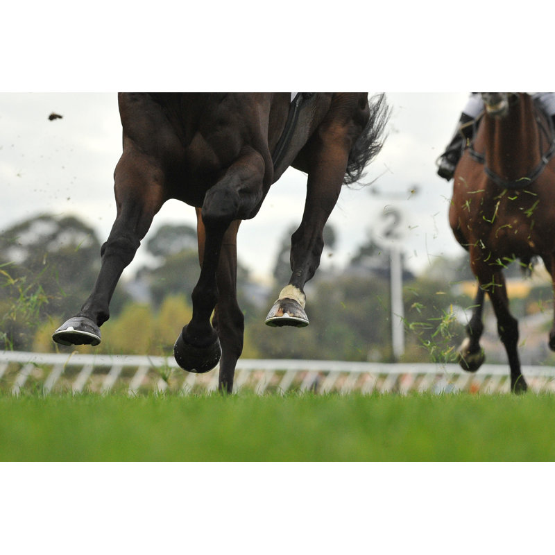 «Horse Racing Action» par Quentinjlang - Photographie sur toile tendue, L 12 po x H 8 po