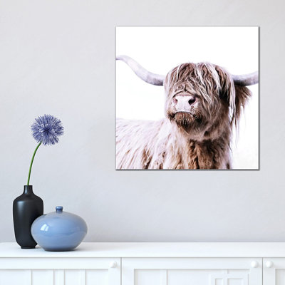 «Highland Bovins Frida I Square» par Monika Strigel - reproduction