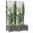 Aunah Raised Garden Bed with Trellis