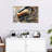 Shuttleworth Barber Tools-108690827