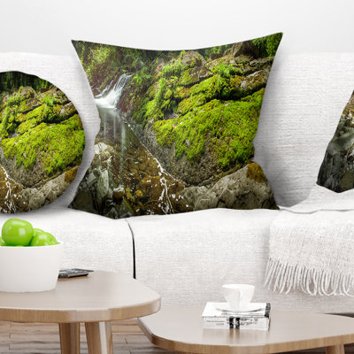 Coussin Schafer