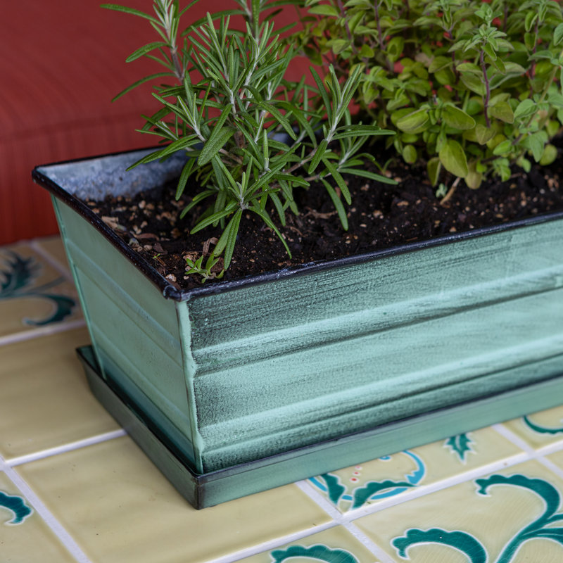 Boîte à fleurs en métal, Vert, H 5 po x l 22 po x P 6 po