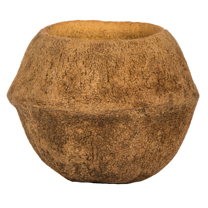 SAPA POD MEDIUM, NATURAL (CP-__), Dried