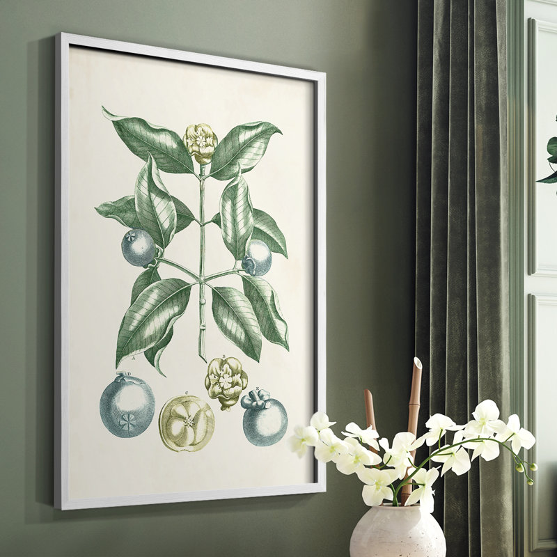 Buchoz Tropicals VII Framed Print - Solid Wood, 10" H x 8" W, White