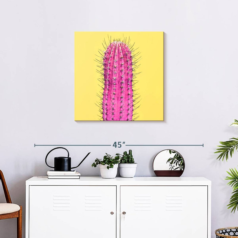 Harnek Spiny Pink Cactus, 24" H x 24" W