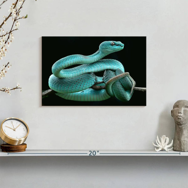 Brampt Blue Pit Viper, 8" H x 12" W