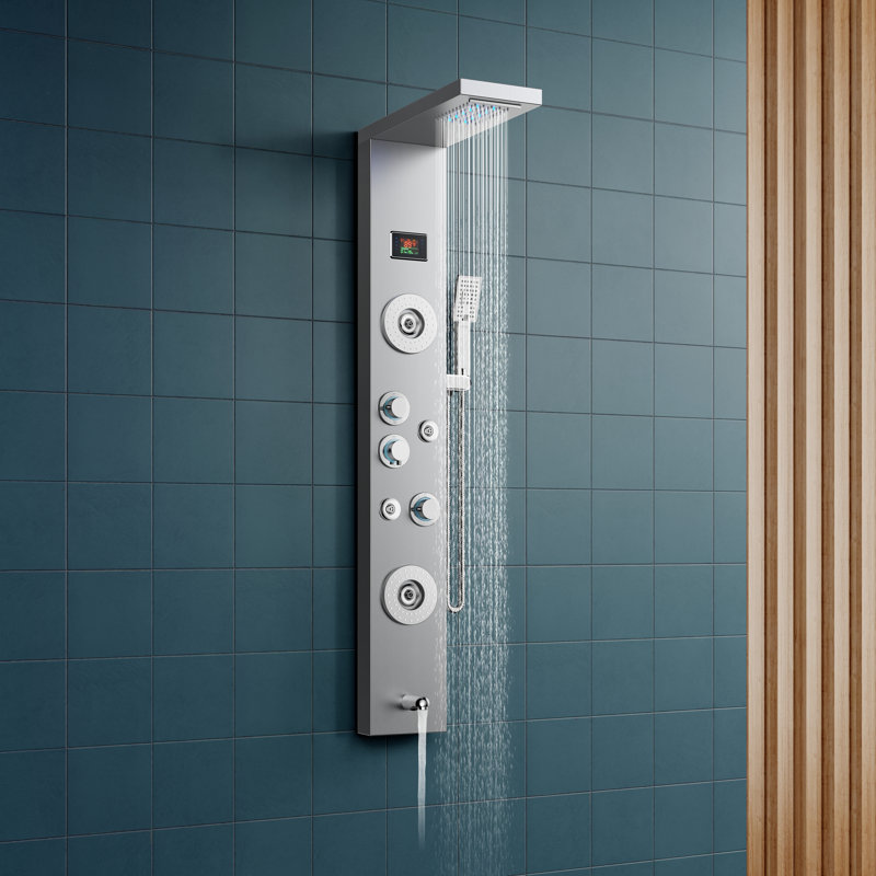 Panneau de douche 47,24 po avec pomme de douche double, Nickel brossé