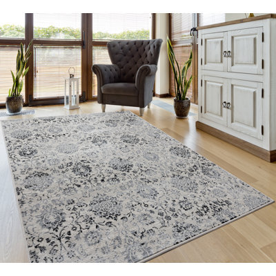 Olander Paisley Indoor Rug