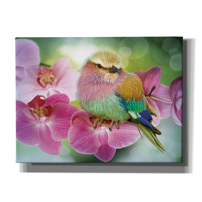 «Pretty Boy», impression sur toile tendue, H 12 po x l 16 po x P 0,75 po