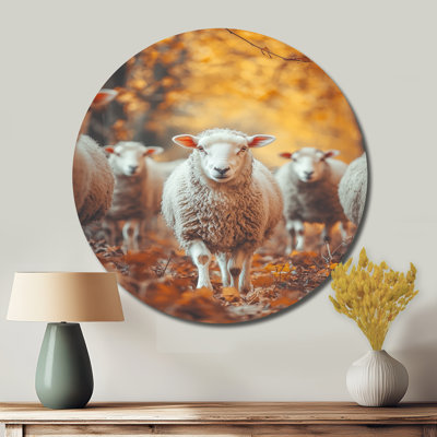 Autumn Wanderers Sheep Portrait I - Sheep Round Metal Wall Art, Modern White Metal Art Print