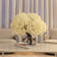 Hortensias blancs en vase en verre transparent-728382060-728382061