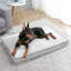 Coussin Pet-61797614