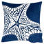 Étoile de mer Seastar-124861900