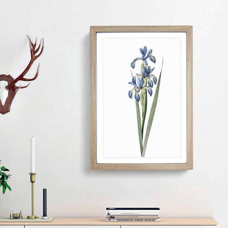 Blue Iris Flowers by Pierre-Joseph Redoute - Picture Frame Art Print, 36cm H x 27cm W x 2cm D, Oak Framed