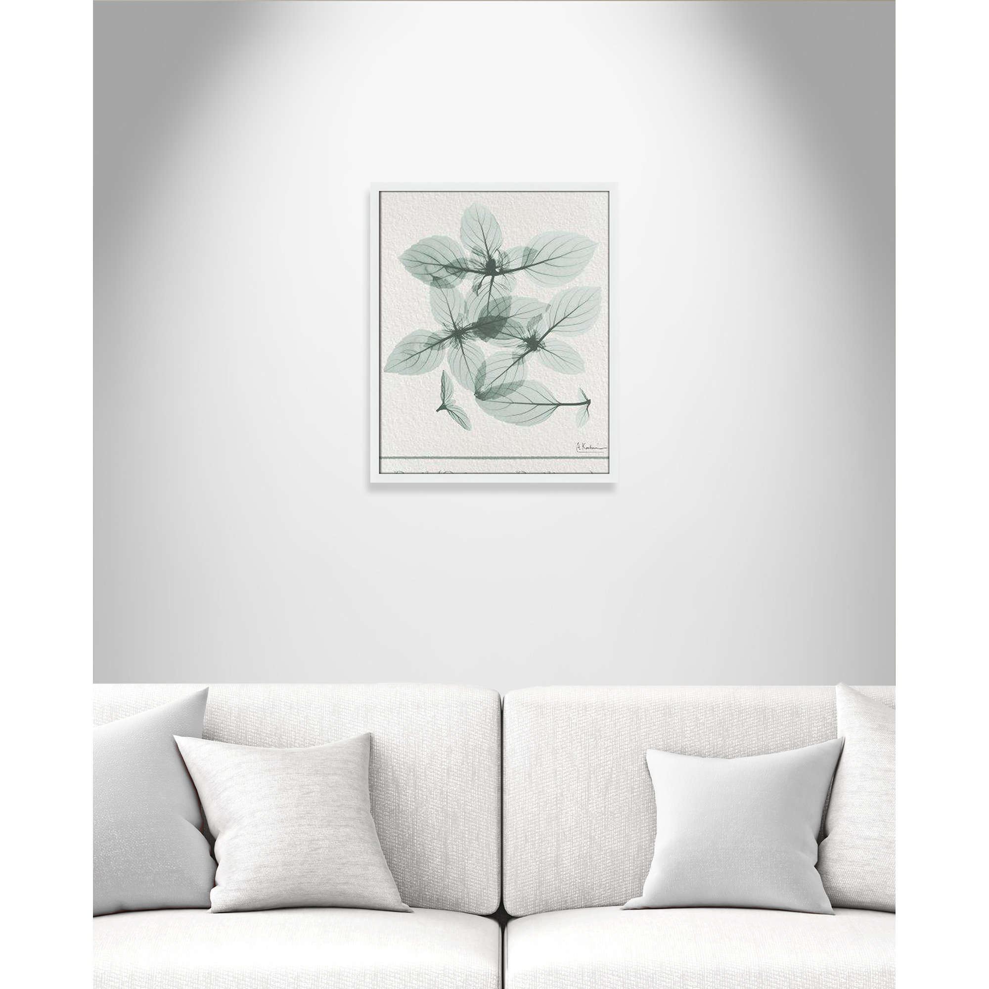 Basil Ocimum Basicicum Framed On Paper by Albert Koetsier Print, 25.5" H x 21.5" W x 1.25" D, Satin White Framed Paper