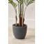 120cm Faux Plant in Cement Pot