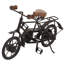 Ensemble de bicyclettes décoratives en métal Aadhya