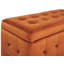Francina 72cm Wide Velvet Tufted Rectangle Ottoman with Storage-310607189