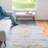 Oriental Indoor Rug-1536394816
