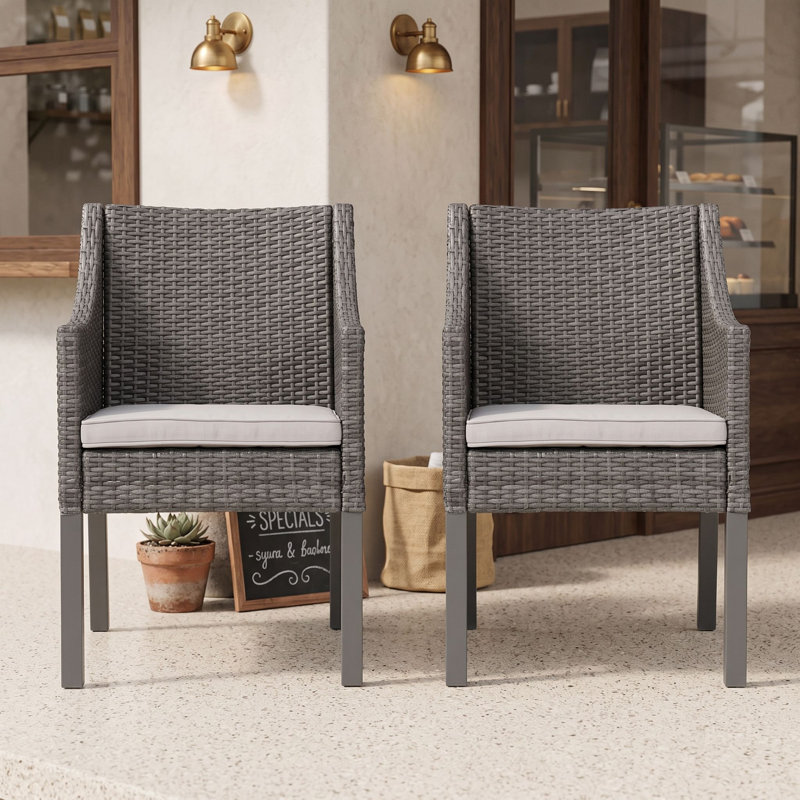 Ensemble de 2 chaises d'extérieur en osier