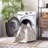 Artavious Washable Performance Machine Washable Southwestern Rug-2048637409