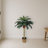 Sago Palm Silk Tree-757137026