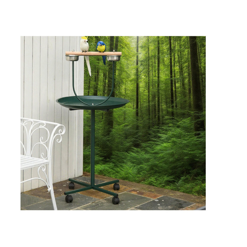 Bird perch stand