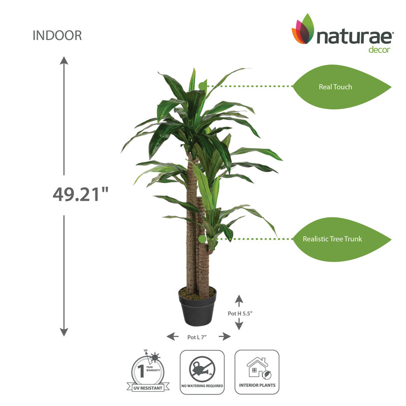 Dracaena artificiel en pot, H 49,21 po x l 26,5 po x P 26,5 po