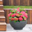 Reinforced Stone Bowl Planter, Lightweight Frostproof Outdoor Plant Pot, Bonsai Pot, Garden Planter with Drainage Holes, Alpine Shallow Planter-1167350049-1167350048