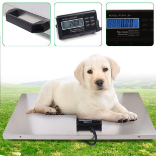 Digital Dog Pet Scale Small Cat Dog Weight Scale 22lbs Veterinary Diet  Healthy
