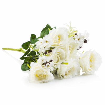 Mélange de roses et de buissons